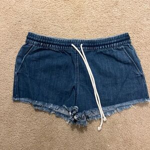 Denim Aerie Women's Casual Shorts